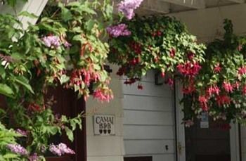 Camai Bed And Breakfast 安克拉治 外观 照片
